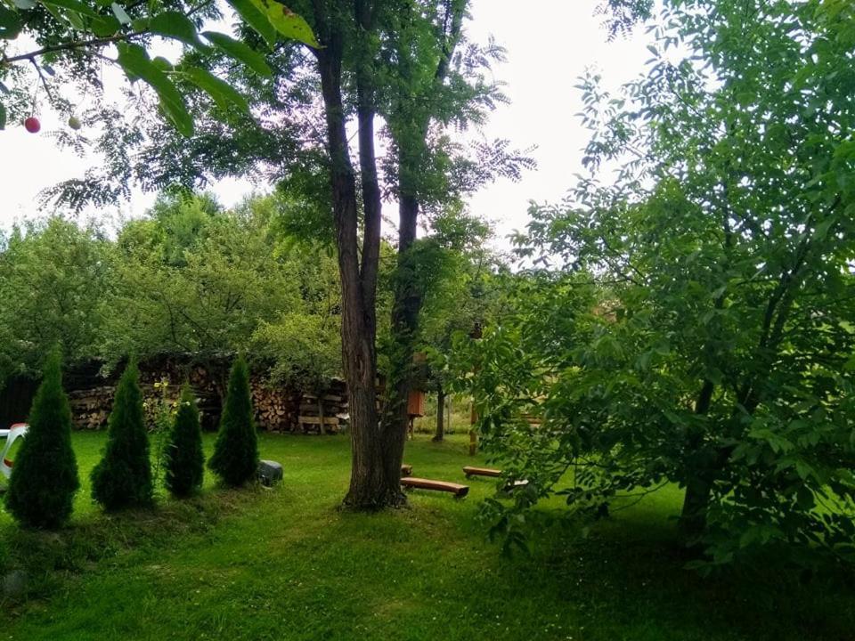 Casa Lacul Mierlei Hotell Sovata Exteriör bild